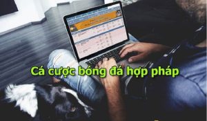 Cá Cược Bóng Đá Hợp Pháp Không? Sự Thật Quan Trọng Bạn Cần Biết